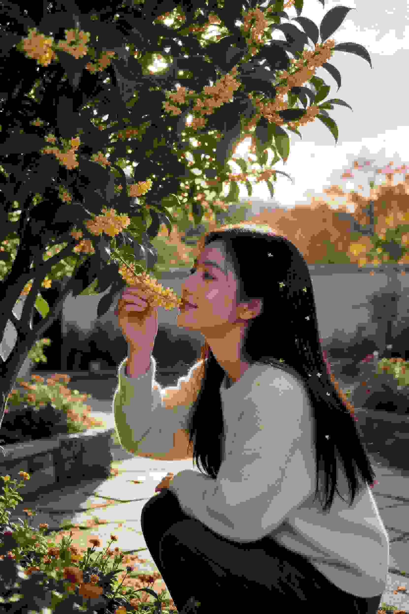逆袭女王